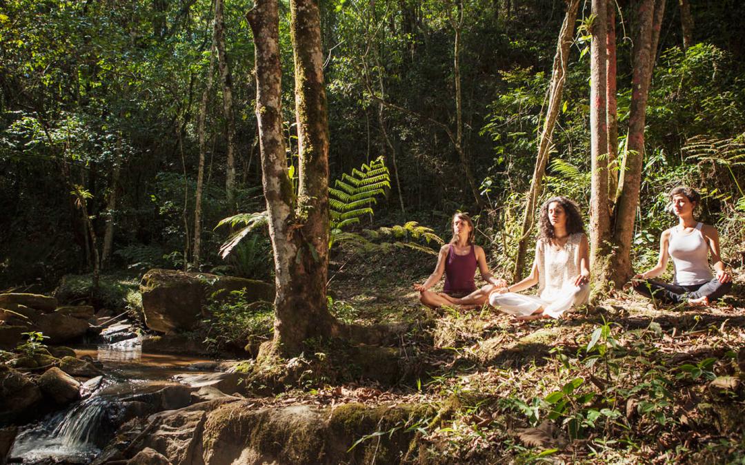 Meditação, Vivências Corporais e Caminhadas