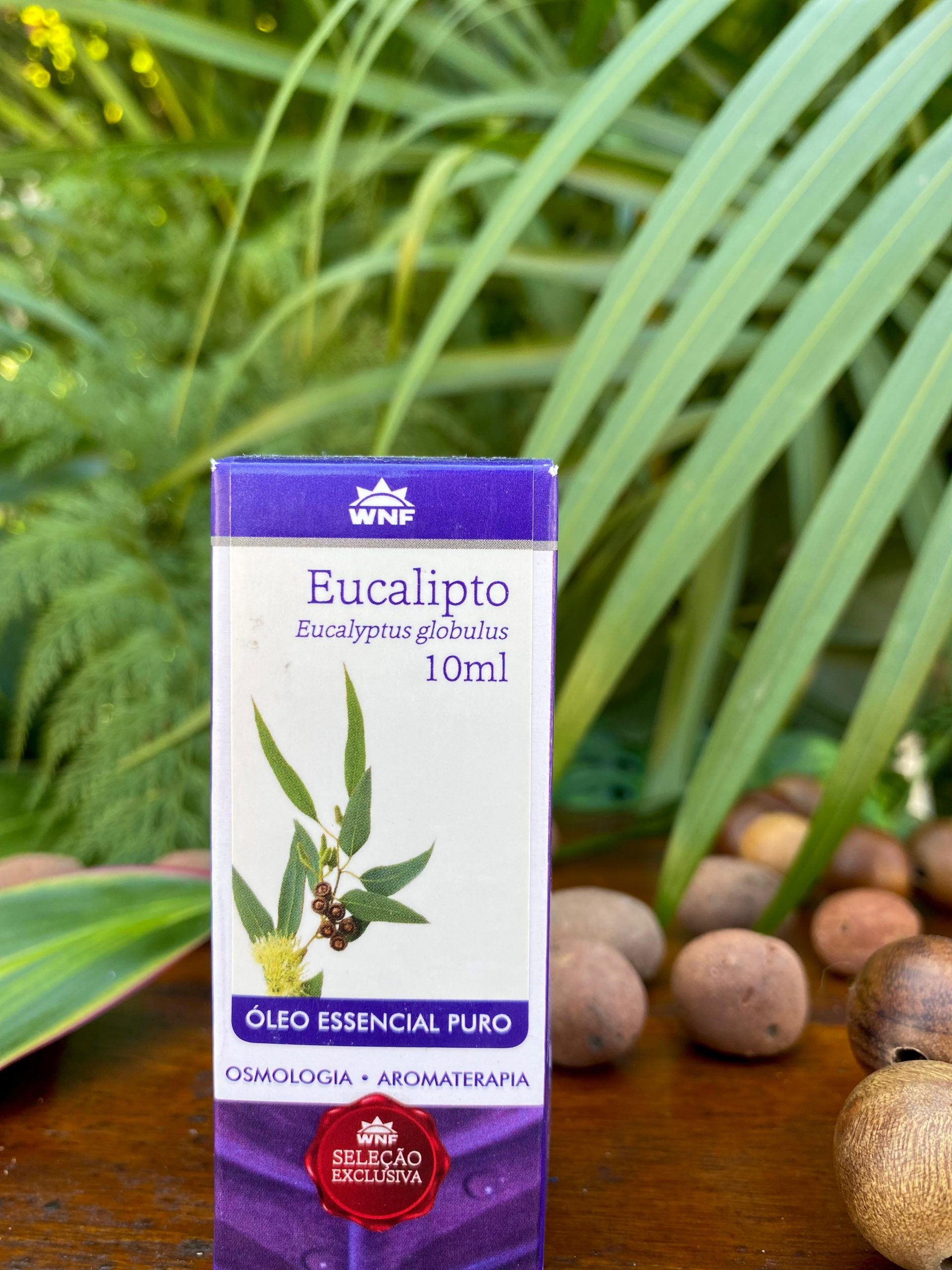 Óleo Essencial Eucalipto WNF - 10ml