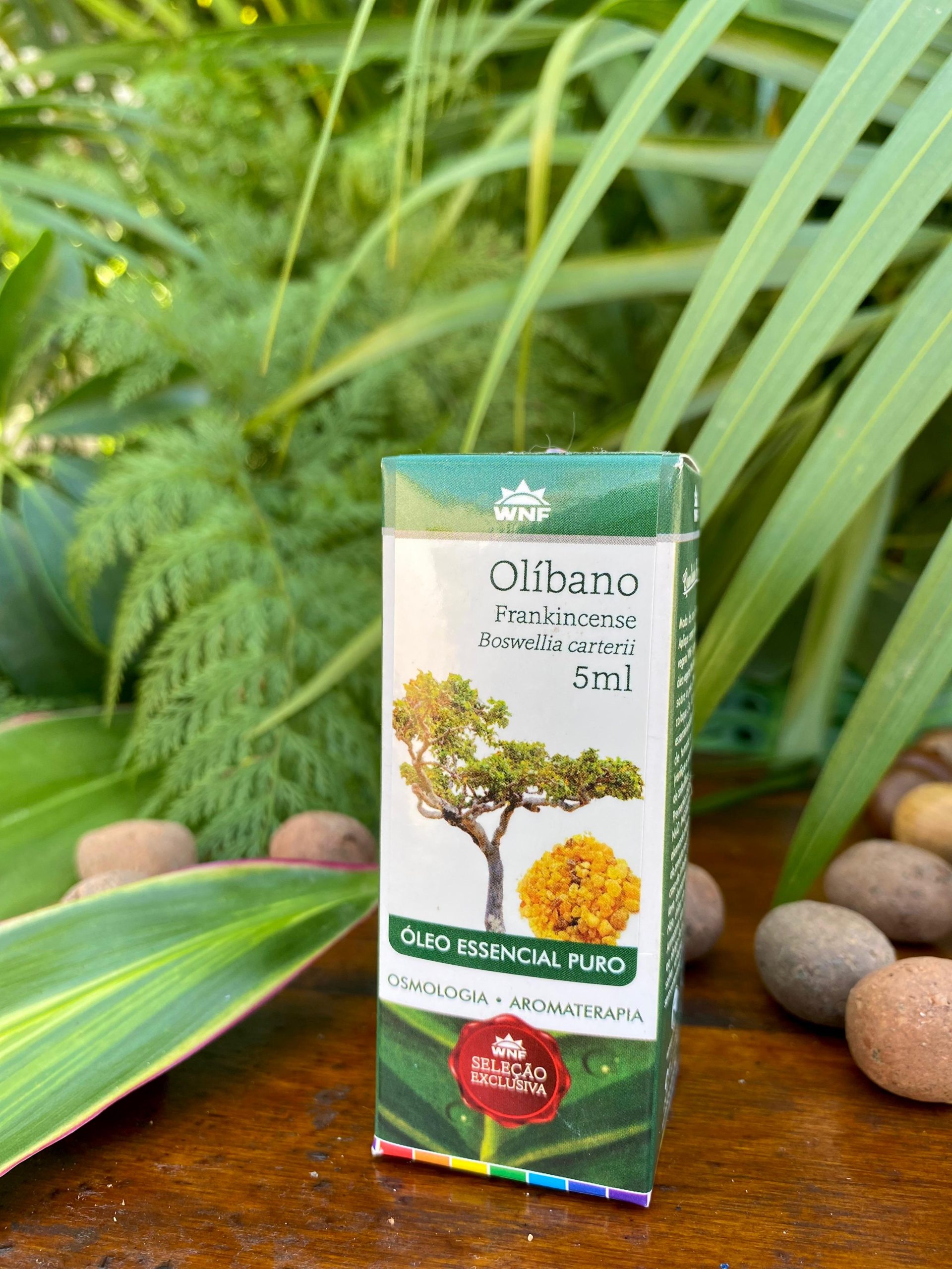 Óleo Essencial Olíbano WNF - 5ml
